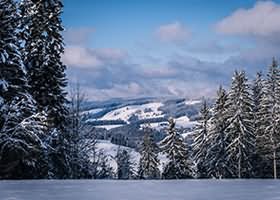 MussGirl慕丝女郎写真图集1314套280GB下载合集