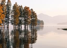 七七娜娜子美女写真图集合集打包下载18套6GB