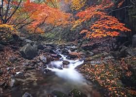 艺图语写真合集9090期3.1TB下载