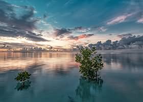 七七娜娜子美女写真图集合集打包下载18套6GB